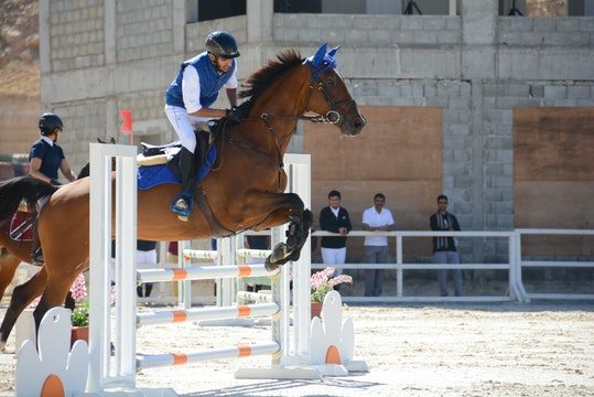 carreras caballos hoy